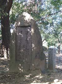 21　西行法師　中川一政筆「山家集」より